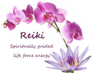 Reiki Energy Course_Heloisa